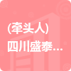 (牽頭人)四川盛泰建筑勘察設計有限公司招標信息