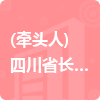 (牽頭人)四川省長鑫電力集團有限公司招標信息