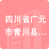 四川省廣元市青川縣水務(wù)局招標(biāo)信息